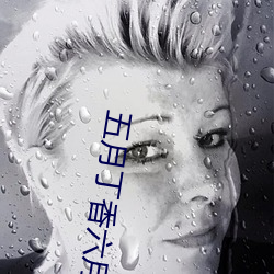 五月丁香六月综合缴情基地