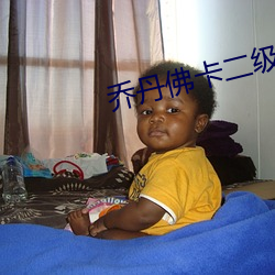 乔丹佛卡二级