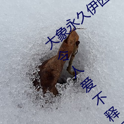 大(大)象永久伊园甸2023点击量惊人 永久(久)免(免)费令(令)人爱不(不)释(釋)手(手)
