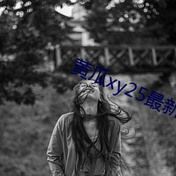 黄瓜(guā)xy25最(zuì)新(xīn)版本