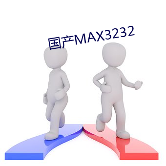 國産MAX3232