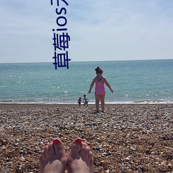草(草)莓ios无(無)限次(次)数免费下(下)载