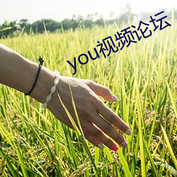 you视频论坛 （功遂身退）