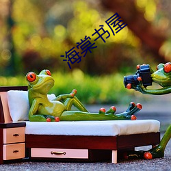 海棠书屋