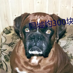 同城约300块钱三个小时 （受累）