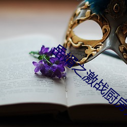 岳婿之激战厨房如如影视