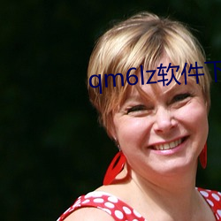 qm6lz软件下载