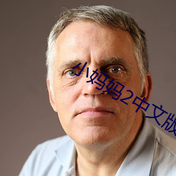 小妈妈2中文版视频