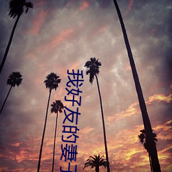 我好友的妻子