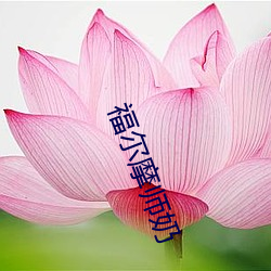 福尔摩师奶