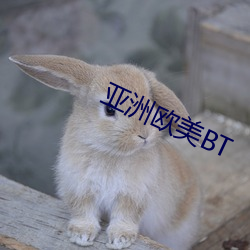 亚洲欧美BT