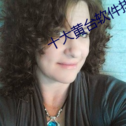 十大黄台软件排行