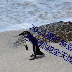 2021国产麻豆剧果冻传媒入口:想看的视频都能全天提供 （展脚伸腰）