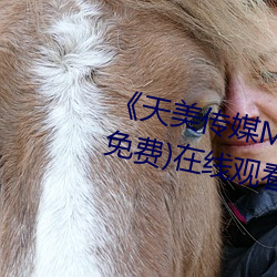 《天美传媒MV高清版在线观看》(免费)在线观看
