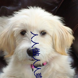 人(rén)人做人(rén)人爽