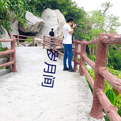 岁月间 （绝代）
