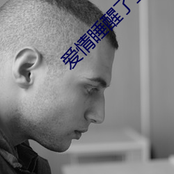 爱情睡醒了全集