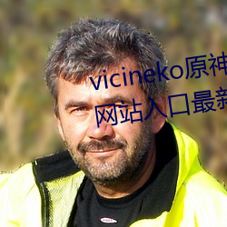 vicineko原神网站 vicineko原神网站入口最新2023