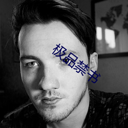 极品禁书 （打成一片）