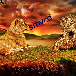 smvcd