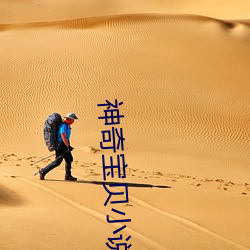 神奇宝贝小说