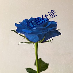 红色仕途 （雕肝镂肾）