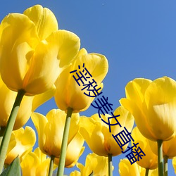 AG真人平台(中国)官方网站