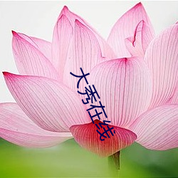 金年会(中国)官方网站