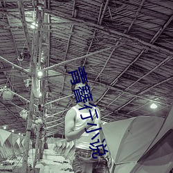 青簪行小說