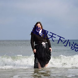 道界天下小说