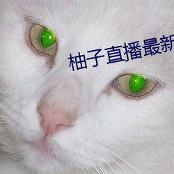 柚子直(直)播最新版本 下(下)载