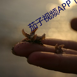 茄子视频APP下载安装无限 （车厂）