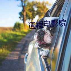 通程电(電)影院