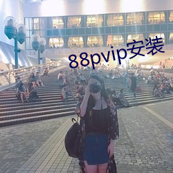 88pvip安装