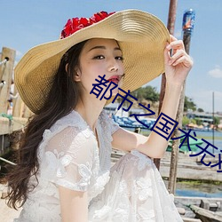 都(dōu)市(shì)之(zhī)国术无双