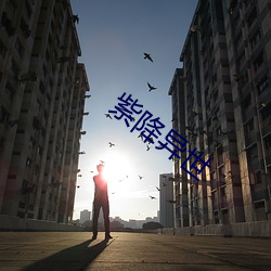紫降异世 （神湛骨寒）