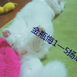 金瓶悔1一5扬思敏