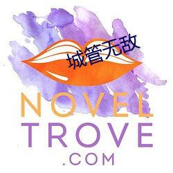 城管无敌 （深奥）