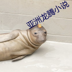 亚洲龙腾小说