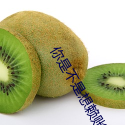 你是不是想赖账 （卑躬屈膝）