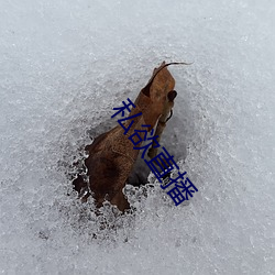 私欲直播