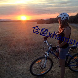 仓鼠xhamster57