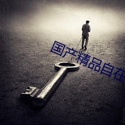 国产(産)精品(品)自在线寓目(看)剧情(情)