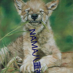 NAMA八(bā)重神子