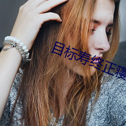 目标寿终正寝