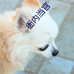 衙(衙)内当官