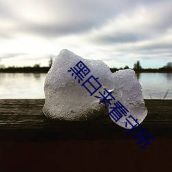 黑白来看守所