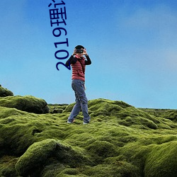 2019理論片電線