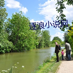 逐浪小說網