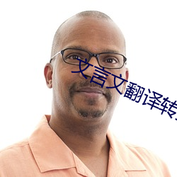 文(文)言(言)文翻译转(轉)换器